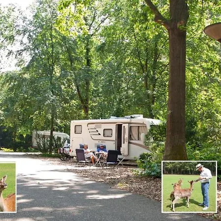 Bosrijk Ruighenrode Lochem