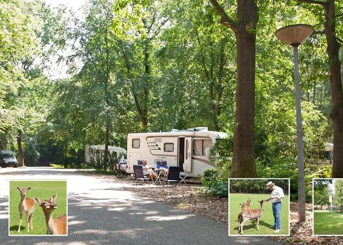 Bosrijk Ruighenrode Lochem